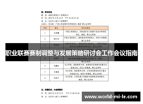 职业联赛赛制调整与发展策略研讨会工作会议指南
