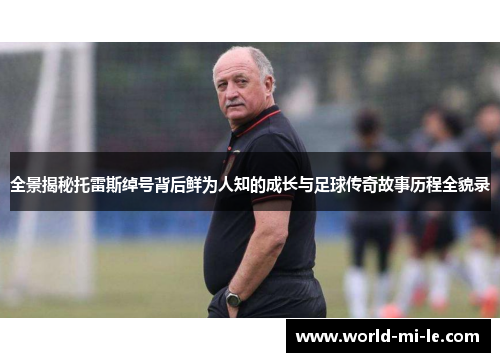 全景揭秘托雷斯绰号背后鲜为人知的成长与足球传奇故事历程全貌录